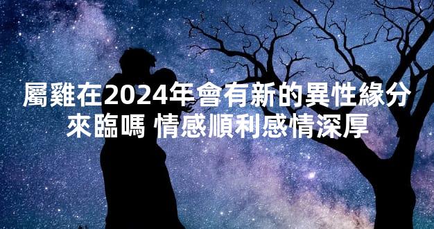 屬雞在2024年會有新的異性緣分來臨嗎 情感順利感情深厚